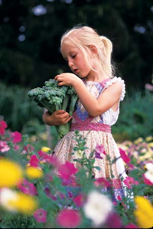 
David’s daughter, Carina, picks broccoli.
